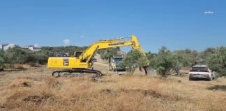 Hatay Defne’de Toki Konutları İçin Zeytin Ağaçları Sökülüyor: Çiftçiler Tepkili