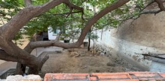 Konya’da 5 Aydır Aranan Kadın, Bir Evin Bahçesinde Gömülü Bulundu