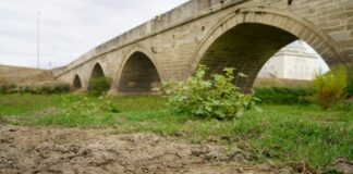 Tunca Nehri’nde Kuraklık Alarmı: Debisi 2021’den Beri Düşüyor