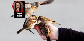 Victor Hugo ve Sokrates Gözünden İyilik