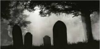 Ölüm Kokusu ve İnsan Davranışları: Putresin’in Evrimsel Yansımaları