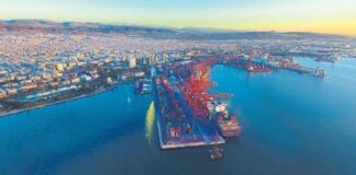 Mersin Limanında Tehlikeli Kirlilik Sorunu: Asbest ve Ekosistem Üzerindeki Etkileri