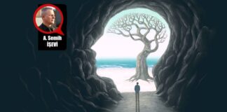 Düşünceyi Düşünmek