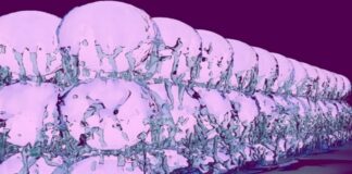 Süper Katı Maddenin Karanlık Madde Çalışmalarındaki Rolü