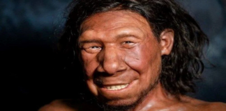 Modern İnsan Dişlerinin Evrimsel Mirası: Neandertallerin İzleri