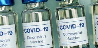 Koronavirüs Salgınının Etkileri: Beş Yılda 7 Milyon Can Kaybı covşd-19