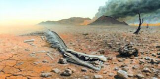 2100’e Doğru: İnsanın Doğaya Etkisi ve Altıncı Büyük Yok Oluş