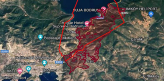 Sata Sata Bitiremediler: Kamu Taşınmazlarının Özelleştirilmesi