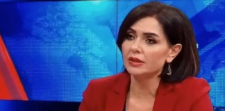 Gazeteci Özlem Gürses Gözaltında: TSK ve Suriye Milli Ordusu İfadeleri Gündemde