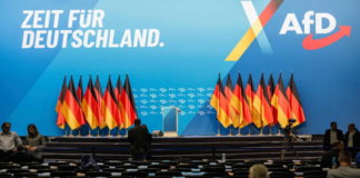 Riesa’da AFD Kongresi: Protestoların Gölgesinde Salon Boş Kaldı