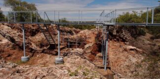 Modern İnsan Atalarının Vejetaryen Kökenleri: Australopithecus’un Bitkisel Yaşamı