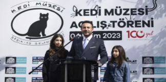 Almanya’dan Türkiye’ye Eleştiri: Muhalefet Belediyelerine Baskı ve Kayyum Politikaları