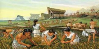 Sınıflı Toplumların Tarihsel Gelişimi ve Sınıf Bilincinin Rolü