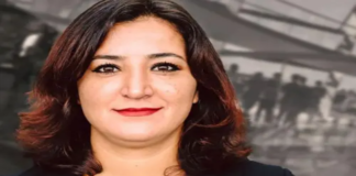 Almanya’da Sol Parti Milletvekili Gökay Akbulut’a Irkçı ve Cinsel Taciz