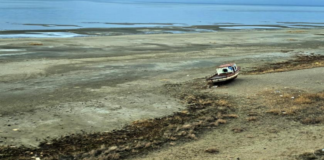 Van Gölü, Tarihinin En Büyük Su Kaybını Yaşıyor
