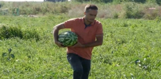 Eleştiren Yargılanıyor: Çiftçinin Feryadı Mahkemeye Taşındı