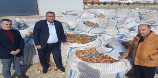 Türkiye’nin Tarımsal Gerçeği: Plansızlık Patates ve Soğanı Çöpe Çeviriyor