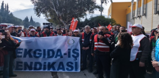 İzmir’de Tütün Fabrikalarında Grev Dalgası: İşçiler Haklarını Arıyor