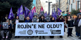 Kadıköy’de Rojin Kabaiş İçin Adalet Çağrısı: Kadınların Birlikte Mücadelesi