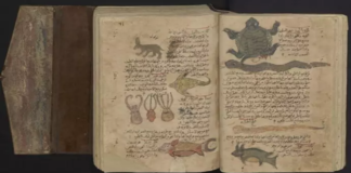 “Büyük Geometri Ustası” Apollonios’un Kayıp Yazıları, Arapça Elyazmaları Sayesinde Gün Yüzüne Çıkarıldı