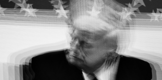 Karizmatik Liderler ve Otorite: Geleneksel Normların Çöküşü mü?