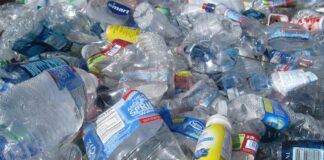 Plastiğin Görünmez Yolculuğu: Geri Dönüşüm Sürecinin Gerçekleri blue labeled plastic bottles