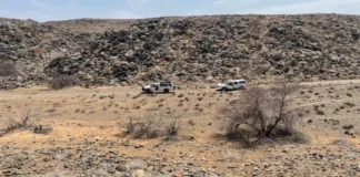 Namibya Çöllerinde Keşfedilen Gizemli Yapılar: Yeni Bir Yaşam Formunun İzleri Mi?