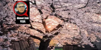 İlkbahar Yaz Modası