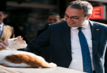 Mahir Polat Görevine Döndü, Soruşturmanın Gölgesi Sürüyor