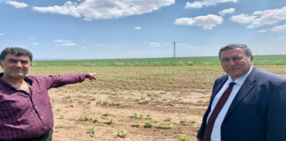 Ömer Fethi Gürer’den Çarpıcı Uyarılar: Su Kaynakları Tükeniyor, Tarım Alanları Yok Oluyor