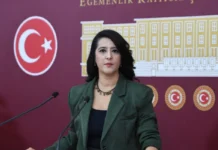 Diyarbakır’da Köylünün Merası Enerji Şirketine Tahsis Edildi: Sevda Karaca Üç Bakana Sordu