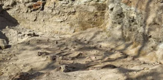 Yunanistan’da 1940’lı Yıllarda Öldürülen Komünistlerin Toplu Mezar Bulundu!