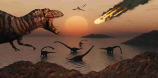 Dinozorların Yok Olma Süreci: Asteroid mi, Zayıf Ekosistem mi?