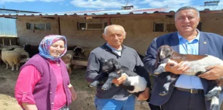 “Hayvanlar Gitti, Ahırlar Boş Kaldı”: Küçükbaş Hayvancılıkta Sessiz Çöküş