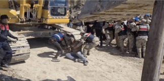 Zeytin Ağaçlarının Gölgesinde Yükselen Tehlike: Hatay’da “Acele Kamulaştırma”nın Ardındaki Yapısal Tehdit