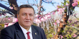 CHP’li Gürer’den Zirai Don Tepkisi: “Çiftçinin Dayanacak Gücü Kalmadı”