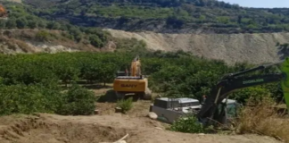 Mağaracık’ta Ağaç Kesimi Krizi: Yerel Halkın Direnişi Ediliyor