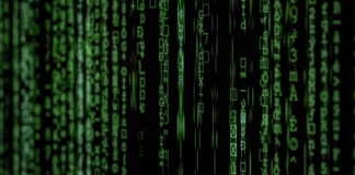 Demokrasi, Teknoloji ve Mahremiyetin Kırılganlığı: Dijital Gözetim Çağında Siyasi Hakların Dönüşümü