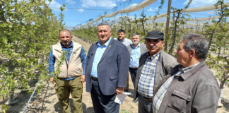 Bir Ülke Çiftçisinden Vazgeçerken: Üretimsizliğe Zorlanan Tarım, Umutsuzluğa Sürüklenen Köylü