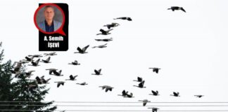 Doğayla Ölçülen Zaman