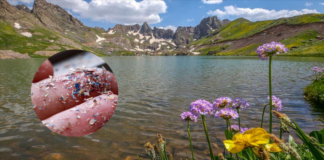 Tatlı Sular Alarm Veriyor: Türkiye’nin Göllerinde Mikroplastik Tehdidi