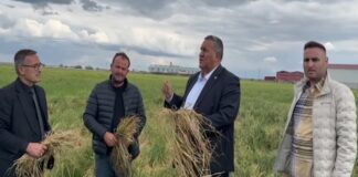 Tarımda Sert Düşüş: Üretim Eriyor, İktidar Politikası Alarm Veriyor