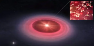 Yeni Bir Yaşam İpucu: Gezegen Oluşturan Diskte Metanol İzotoplarının Keşfi