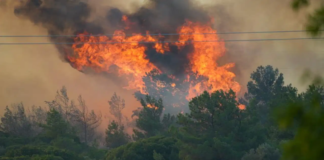 “Soy, Yak, Can Al… Ama Vergi Verme!”