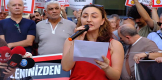 Seyitgazi’de Orman Yangını Faciası: “Bu Bir Doğa Olayı Değil, Toplu İş Cinayetidir”