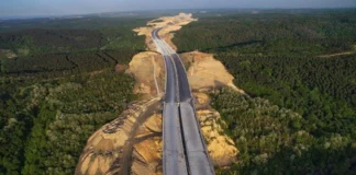 Beton Uğruna Doğayı Talan Eden İktidar: Kuzey Marmara’dan Akbelen’e Çevrenin Sessiz Çığlığı