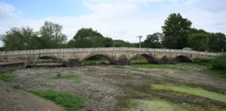 Tunca Kuruyor: Nehir Yatağında Sadece Yosun ve Sessizlik Var