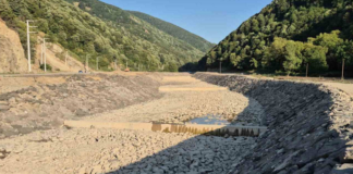 Düzce’de Kuraklık Alarmı: Uğur Deresi Tamamen Kurudu