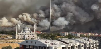 KESK: “Yangınlar, Tedbirsizlik ve Talan Politikalarının Sonucu”