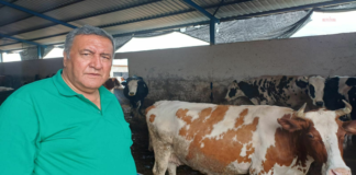 CHP’li Gürer: “Hayvan İthalatı Sürüyor, Et ve Süt Krizi Bitmiyor”